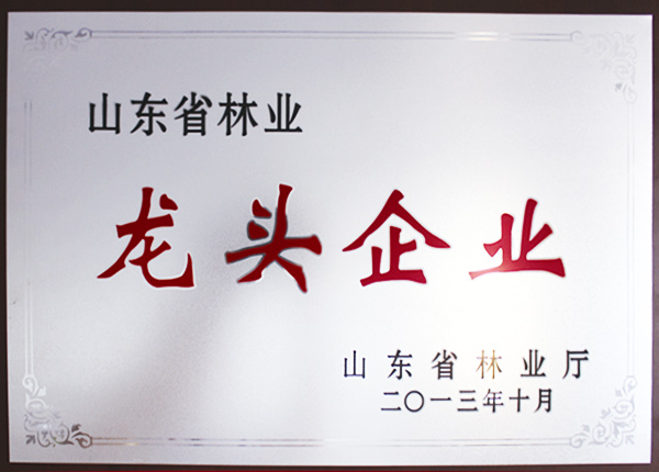 山(shān)東省林業龍頭企業